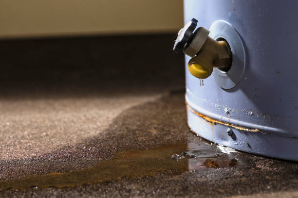 Best Flooded house restoration  in Lake Darby, OH