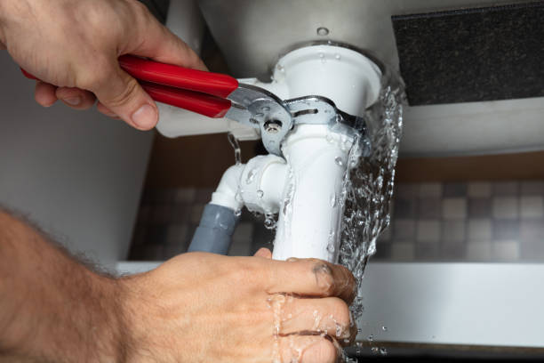 Best Water damage cleanup near me  in Lake Darby, OH