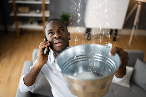 Best Flooded house restoration  in Lake Darby, OH