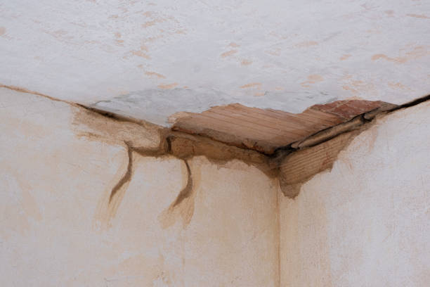 Best Water damage restoration near me  in Lake Darby, OH