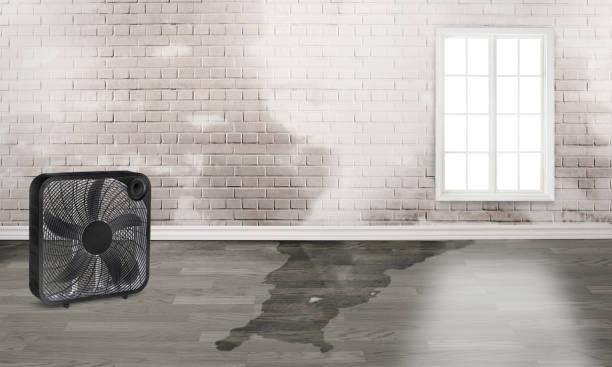Trusted OH Water damage restoration Experts