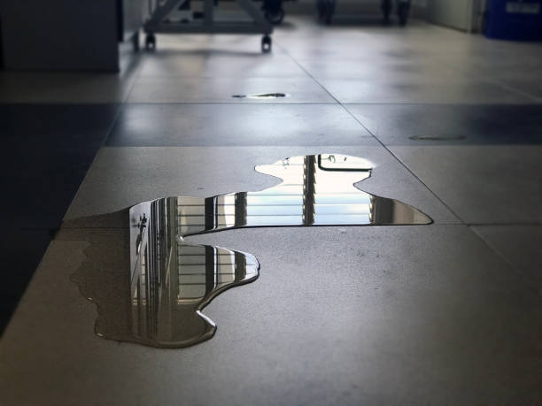 Best Professional water damage repair  in Lake Darby, OH