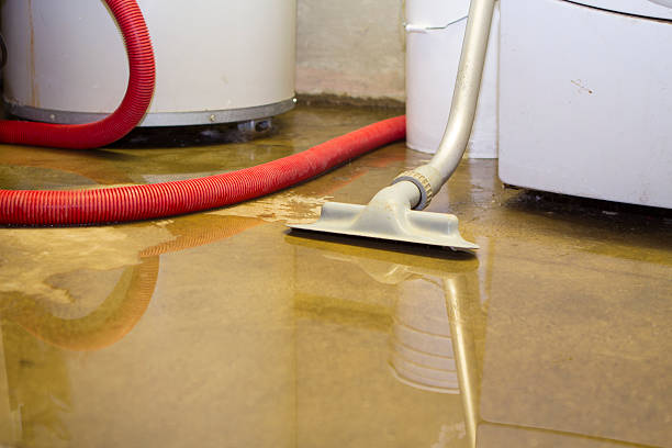 Best Water damage restoration near me  in Lake Darby, OH