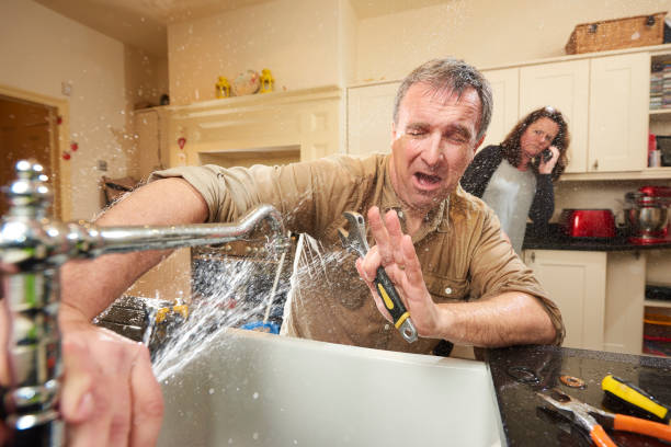 Best Water damage mitigation services  in Lake Darby, OH